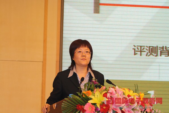 2011年中国政府网站绩效评估结果发布