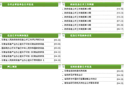 云南政府信息公开网站“唱双簧” 疑似遭遇山寨版