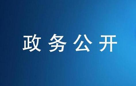 国务院办公厅关于印发2016年政务公开工作要点的通知