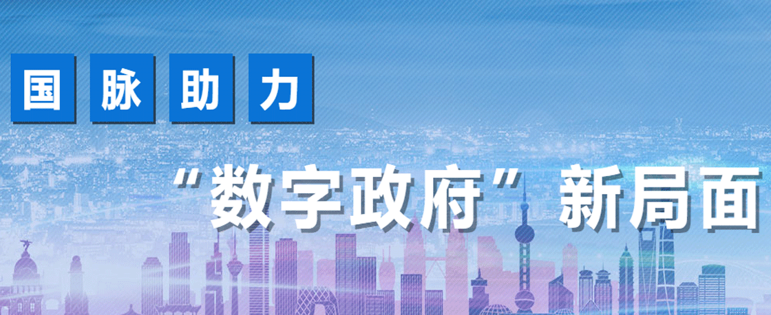 国脉助力数字政府新局面