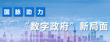 国脉助力数字政府新局面