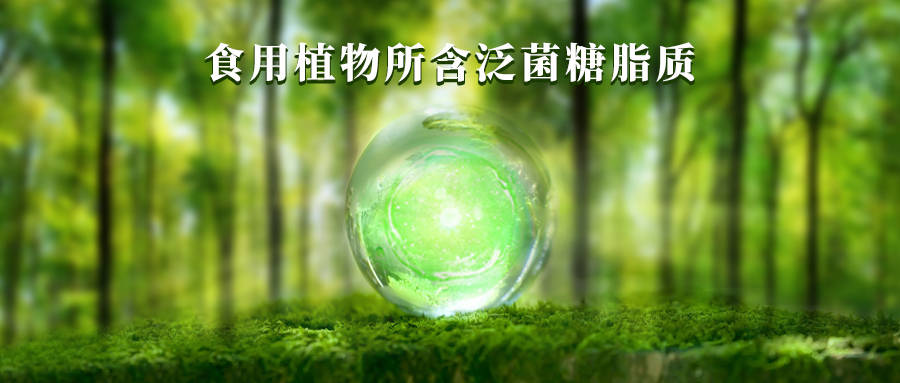植物中的泛菌糖脂质 