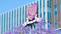 2024级招生启动 | 香港中文大学（深圳）管理学理学硕士MBM项目