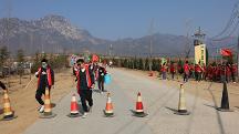 共建绿水青山—茶主张义务植树正当时