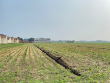 山东财经大学耕地非粮化研究团队——探究山东省竞争视角下的耕地非粮化