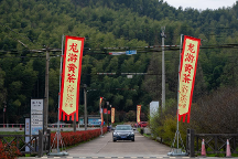 茶报|2023中国•龙游黄茶首届开采节暨虔龙黄茶新品发布会