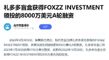 礼多多盲盒获FOXZZ INVESTMENT领投8000万美元A轮融资