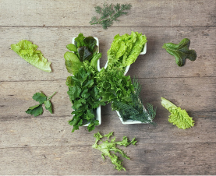 探索vitamin k1：人体健康不可或缺的重要营养素