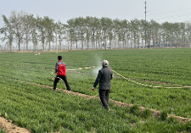 助力春耕春管,看中和农信的农服“赢春图”