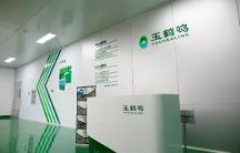 玉鹤鸣舒纤素水苏糖乳酸菌有效补充肠道营养缺口
