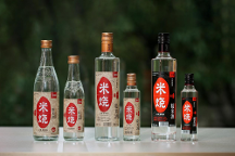 春糖顶流 高燃收官 | 能赋·米烧征程不止，勇毅前行耀未来！