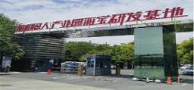 驭岳科技：外贸人如何通过OPENAI进行海外客户开发