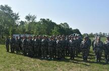 《又 是 一 年 槐 花 季》陕西·咸阳 杨小平