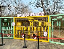 从《红楼梦》到未来;书香家庭故事-孩子阅读的培养