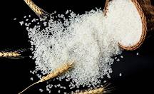 禾之善:坚定使命,只为大家吃上一碗健康的好米饭