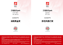 家居质量界“奥斯卡”！三雄极光斩获沸腾质量两项大奖！