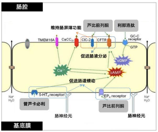 点击查看原始图片