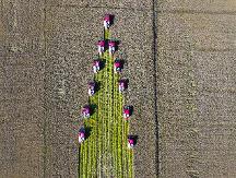 全域丰收场景背后的潍柴雷沃力量