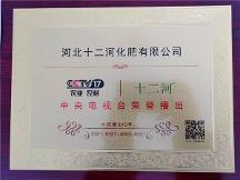瞄准新赛道，促进新发展，河北十二河化肥有限公司荣获央视品牌展播