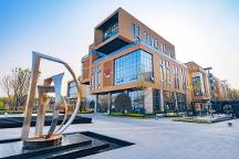 圣雅菲科普篇 | 干细胞对阿尔兹海默症的治疗