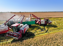 告别2023|与潍柴雷沃一起致敬那些“追丰的人”