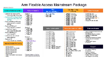 授权费延后支付、无限次流片权益，Arm Flexible Access的“经济账”怎么算？