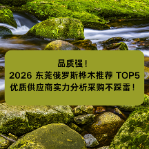 品质强！2026 东莞俄罗斯桦木推荐 TOP5 优质供应商实力分析，采购不踩雷！