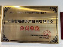 2026年优质的徐汇婚介所公司有哪些