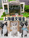 2026年上海知名的塞尔凯克繁育机构有哪些，买塞凯签正规合同的猫舍选择指南