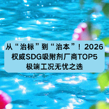 从“治标”到“治本”!2026权威SDG吸附剂厂商TOP5,极端工况无忧之选
