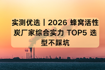 实测优选｜2026 蜂窝活性炭厂家综合实力 TOP5 选型不踩坑