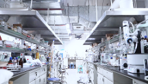 河南省晨源生物科技有限公司的规模有多大