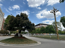 2026年成立多年的技校 初中毕业生优选靠谱学校