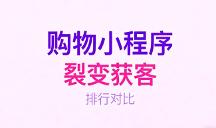 2026正规小程序开发服务商资质测评