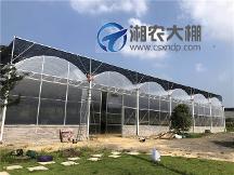 温室大棚维修联系电话，靠谱的农业大棚维修服务商用户力荐
