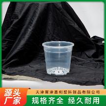 2026年知名的蝴蝶兰花盆源头厂家用户力荐
