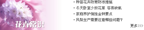 [2009特色评选] 中华人民共和国农业部网站荣获“用户满意奖”