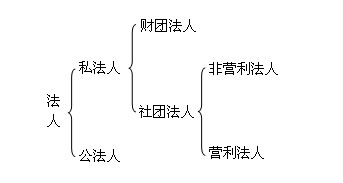 组织机构代码与我国的法人及法人制度