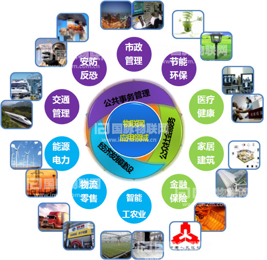 杨冰之：重视物联网在关键产业的应用