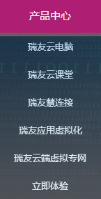 西安瑞友信息技术资讯有限公司产品
