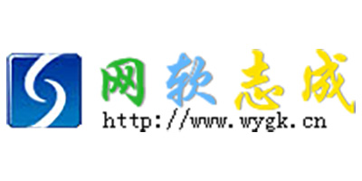 广州网软志成信息科技有限公司
