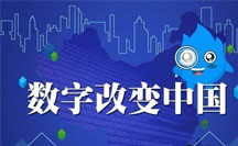 西方经验在厦门市数字政府治理中的应用分析