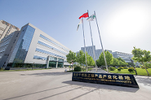 中源协和免疫细胞｜为未来保留一份“健康的种子”