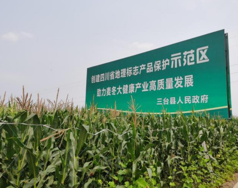 http://img.toumeiw.cn/upload/ajax/20230602/8776b65a4e92d5716b64e6a79d957e52.png