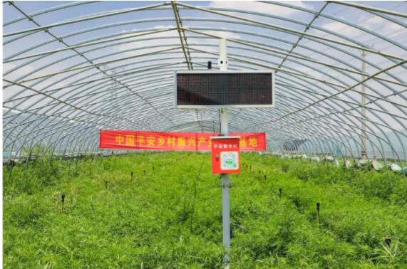 QQ截图20230830162757.jpg