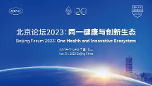 北京论坛2023丨史文钊谈数字技术在医学创新中的应用：大模型不求“大”，贵在“精”